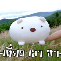 คมกฤช วิศิษย์ศักดิ์วาสิน